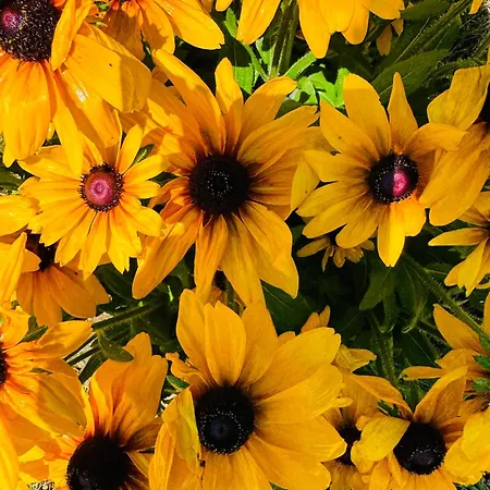 Ferienhaus Unterdeka