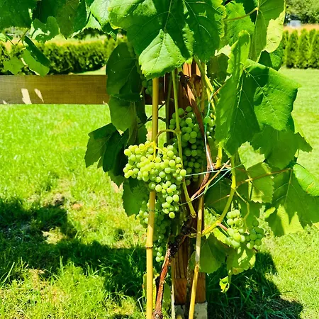 Ferienhaus 펜션 Unterdeka