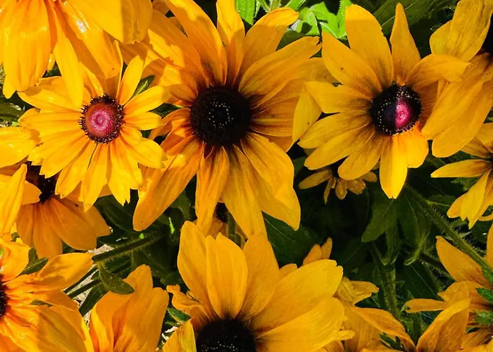 Ferienhaus Unterdeka