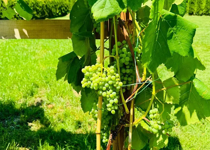 Ferienhaus בית נופש Unterdeka