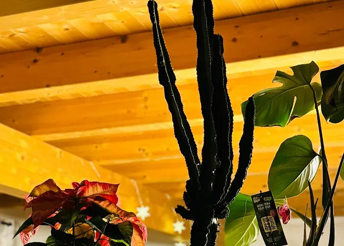 Ferienhaus בית נופש *